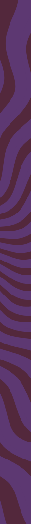 Shap_img
