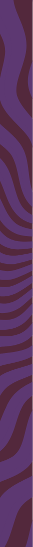 Shap_img